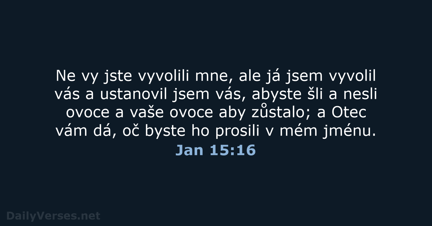 Jan 15:16 - ČEP