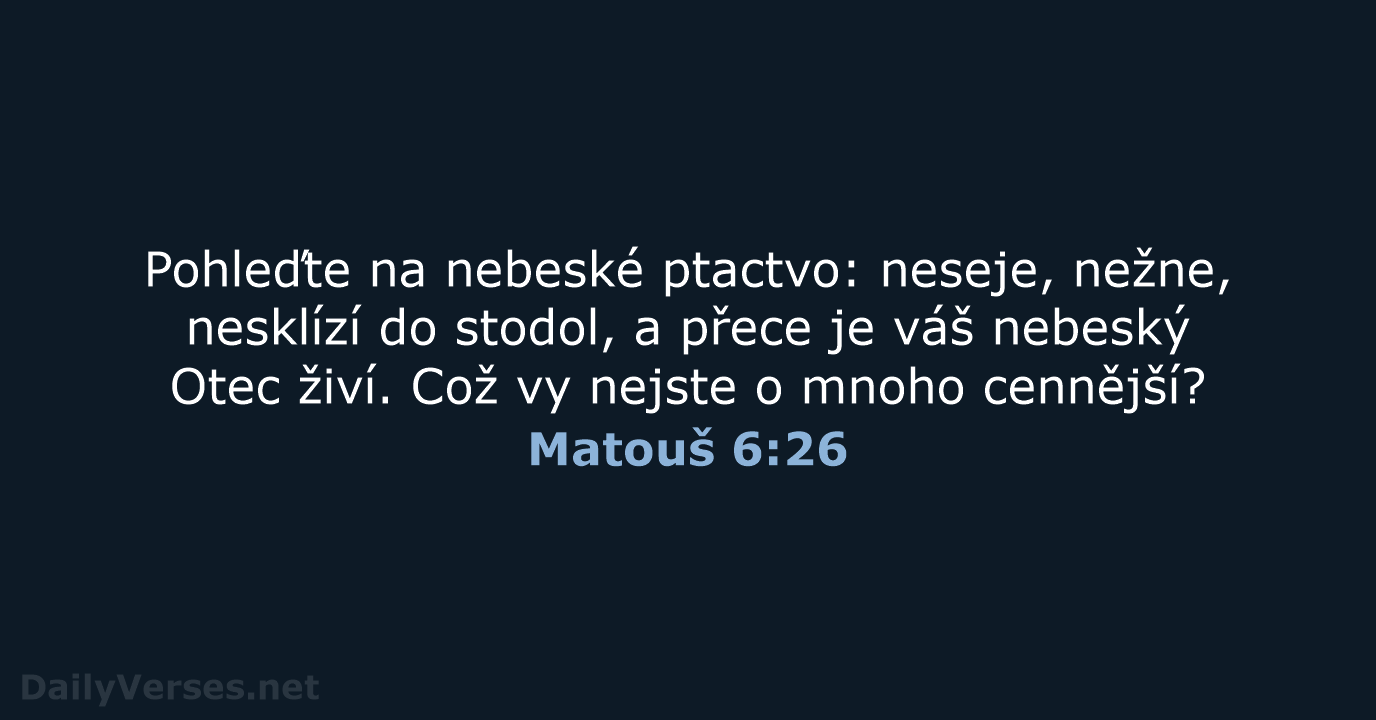 Matouš 6:26 - ČEP