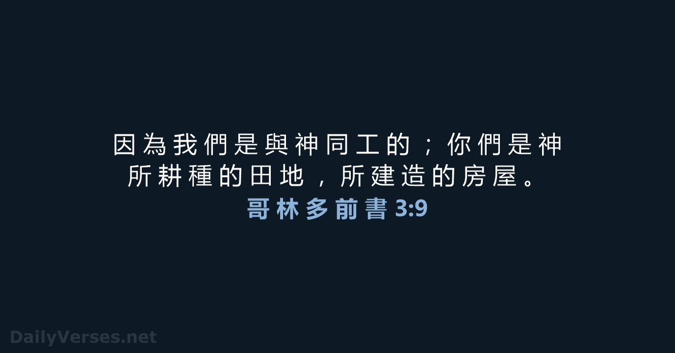 哥 林 多 前 書 3:9 - CUV