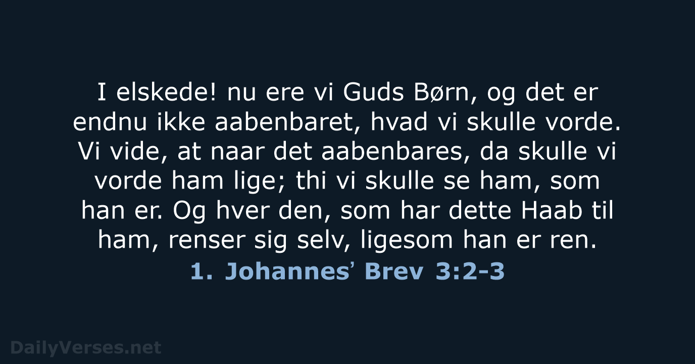 1. Johannesʼ Brev 3:2-3 - DA1871