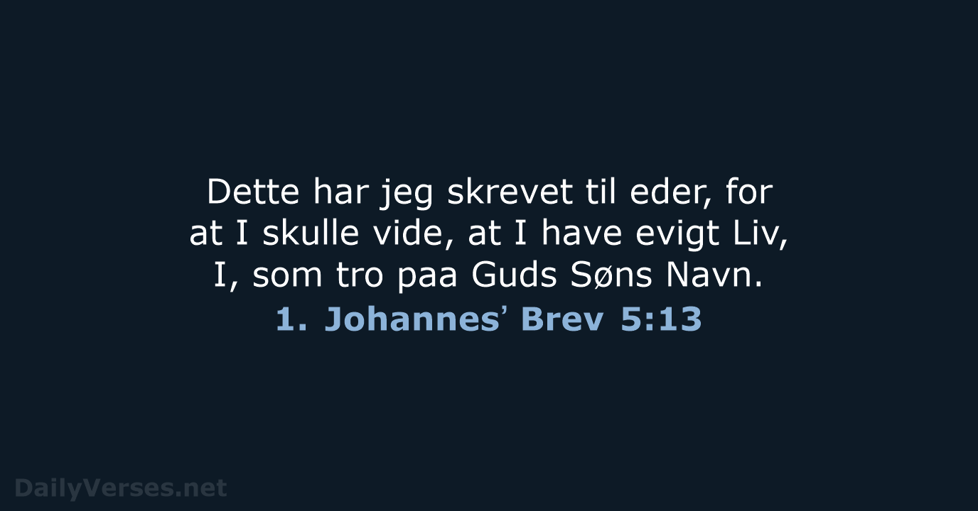 1. Johannesʼ Brev 5:13 - DA1871