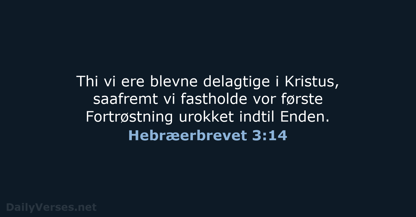 Hebræerbrevet 3:14 - DA1871