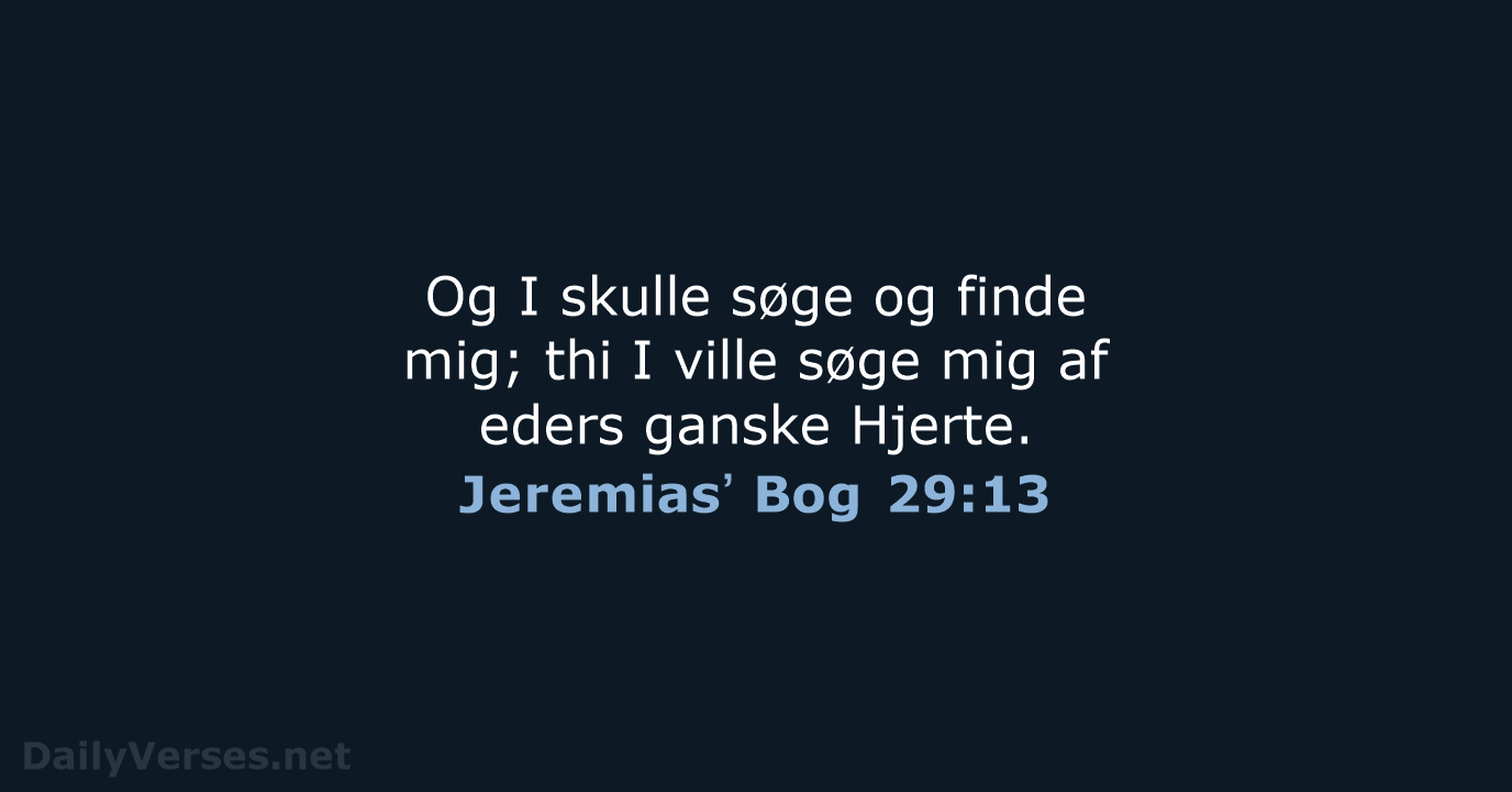 Jeremiasʼ Bog 29:13 - DA1871