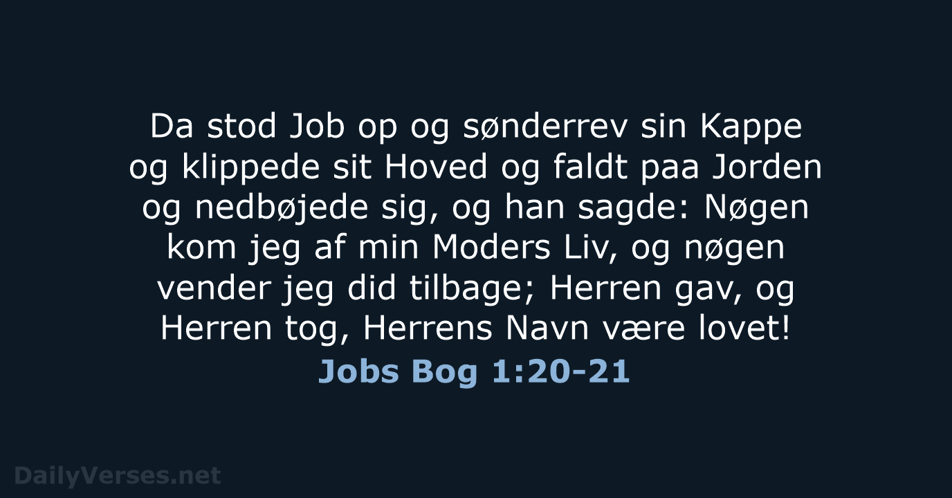 Jobs Bog 1:20-21 - DA1871