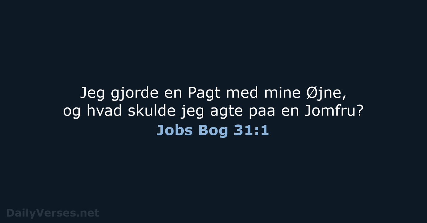 Jobs Bog 31:1 - DA1871