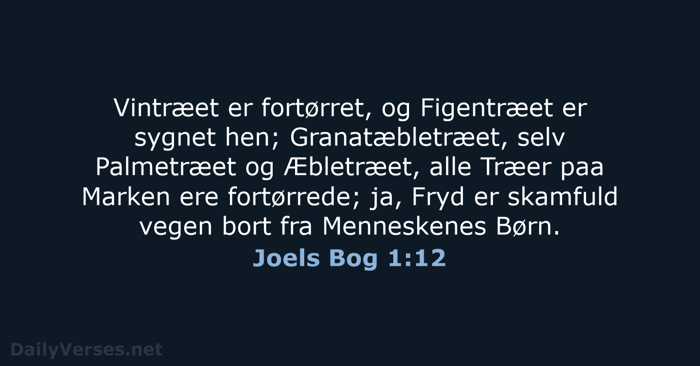Joels Bog 1:12 - DA1871