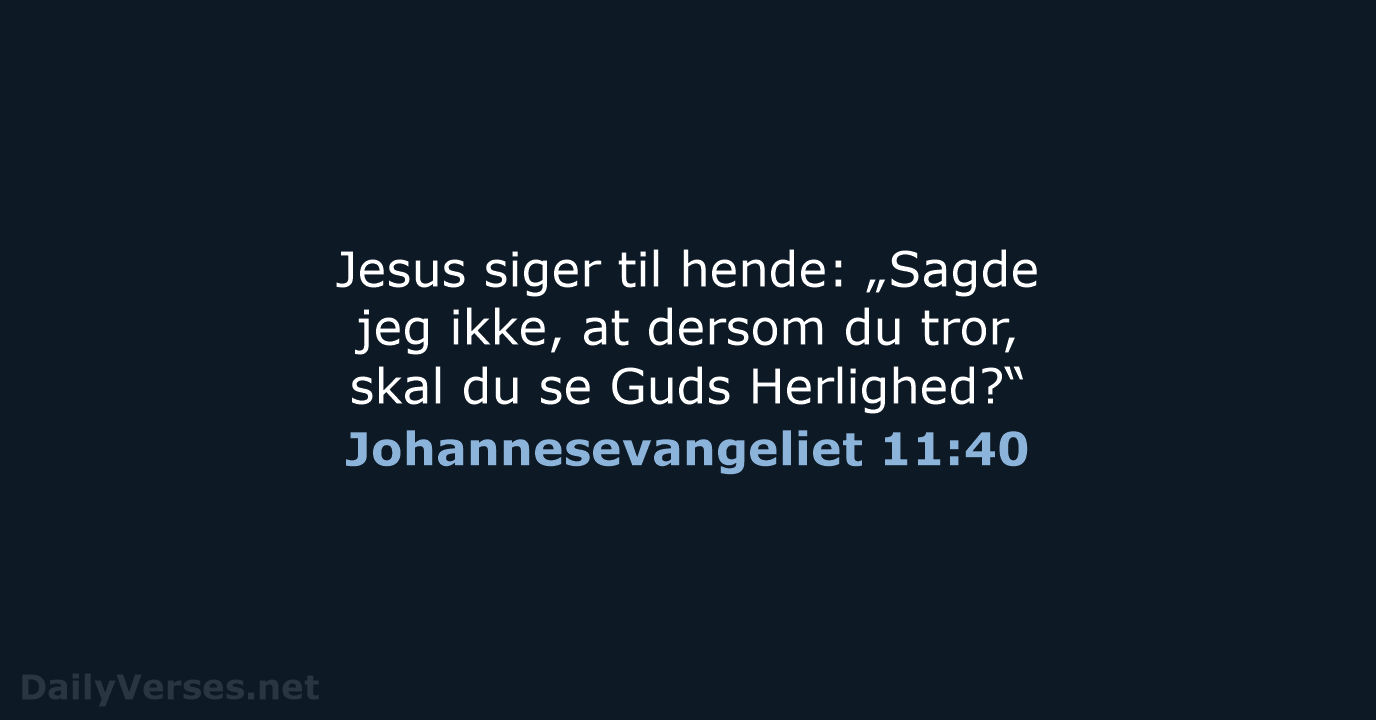 Johannesevangeliet 11:40 - DA1871