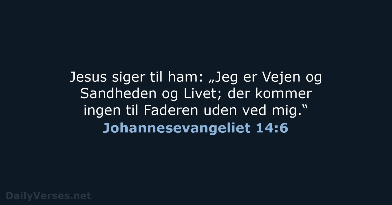 Johannesevangeliet 14:6 - DA1871