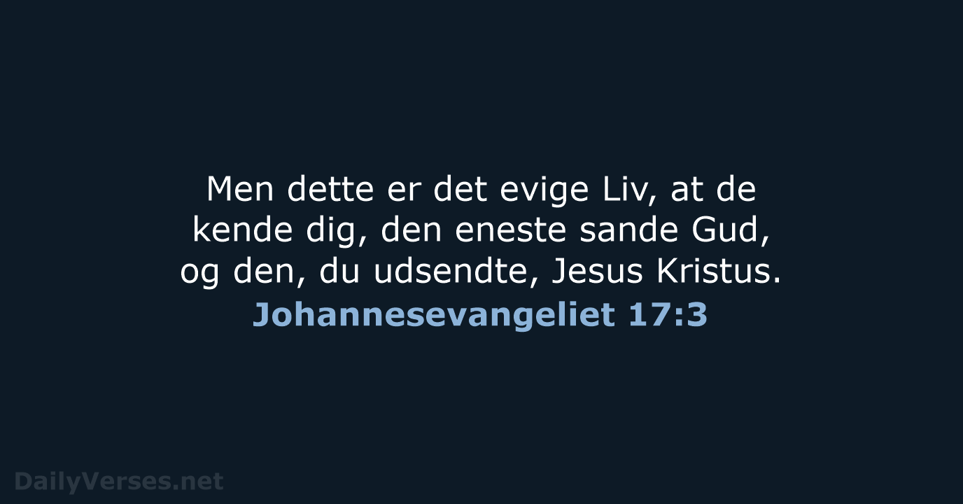 Johannesevangeliet 17:3 - DA1871