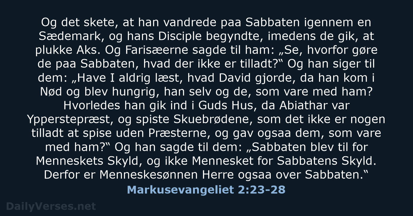 Markusevangeliet 2:23-28 - DA1871