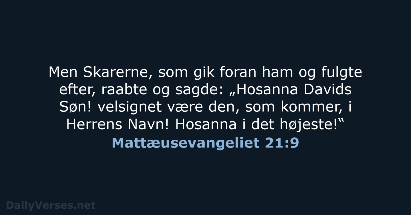 Men Skarerne, som gik foran ham og fulgte efter, raabte og sagde:… Mattæusevangeliet 21:9