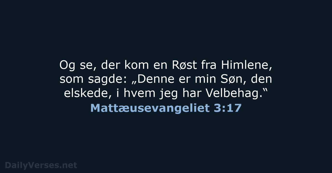 Mattæusevangeliet 3:17 - DA1871