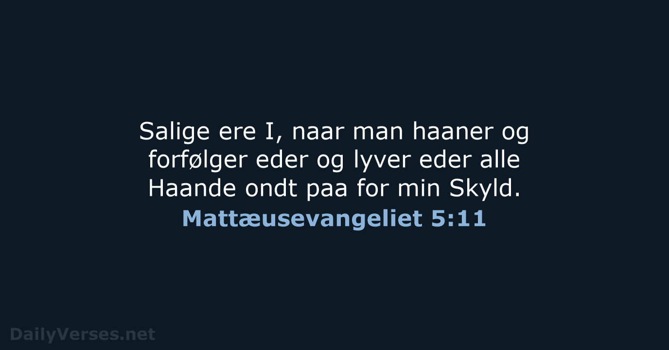Mattæusevangeliet 5:11 - DA1871