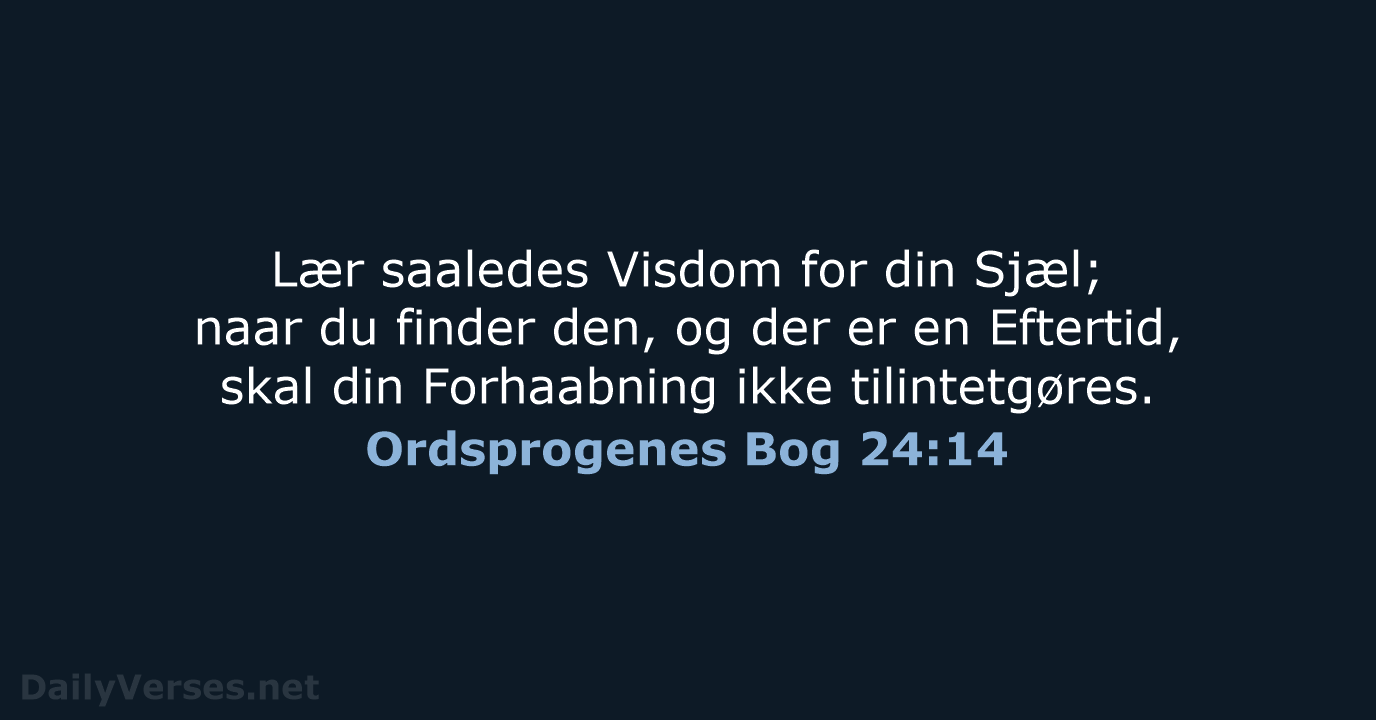 Ordsprogenes Bog 24:14 - DA1871