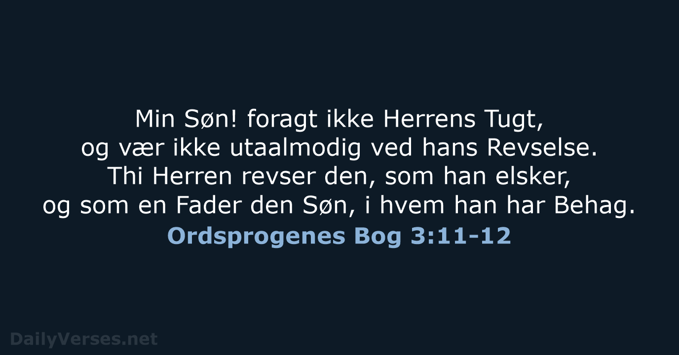 Ordsprogenes Bog 3:11-12 - DA1871