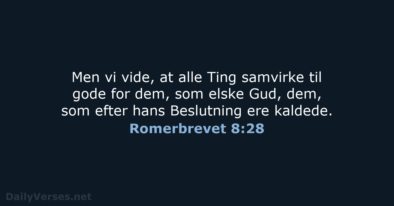 Romerbrevet 8:28 - DA1871