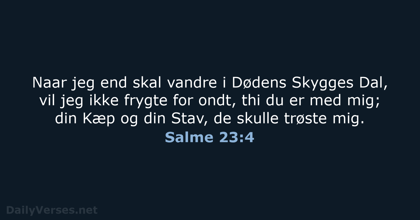 Salme 23:4 - DA1871