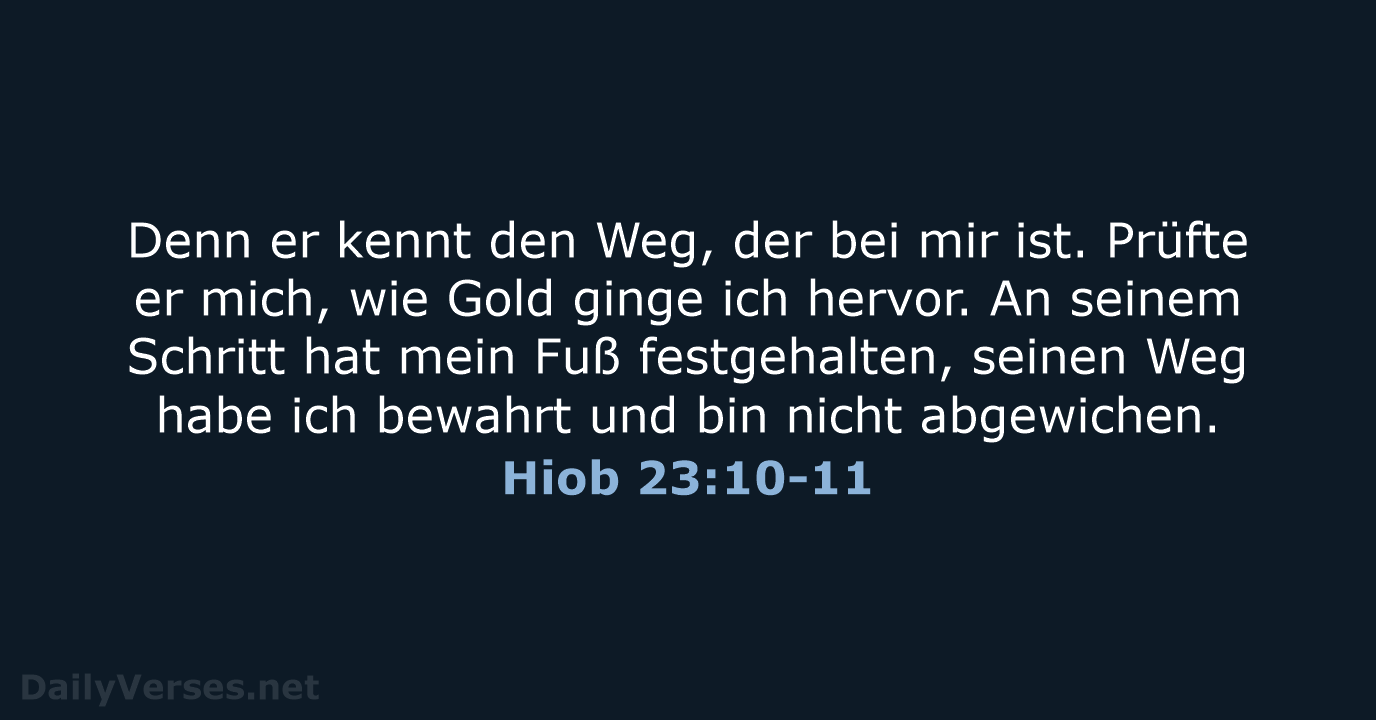 Hiob 23:10-11 - ELB
