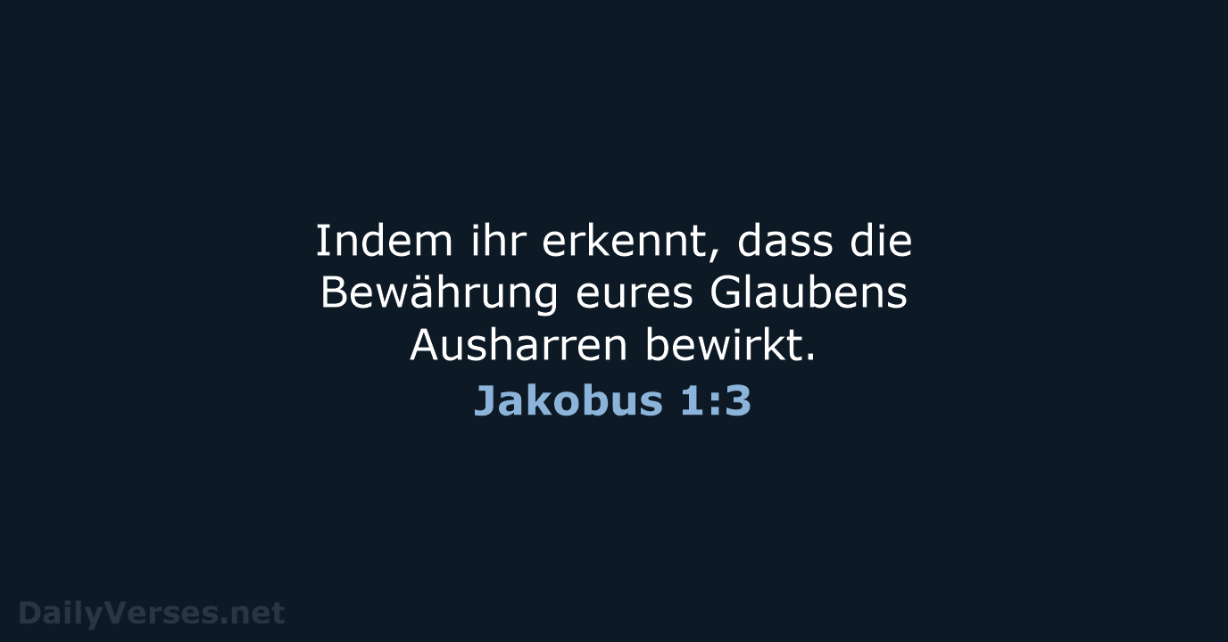 Jakobus 1:3 - ELB