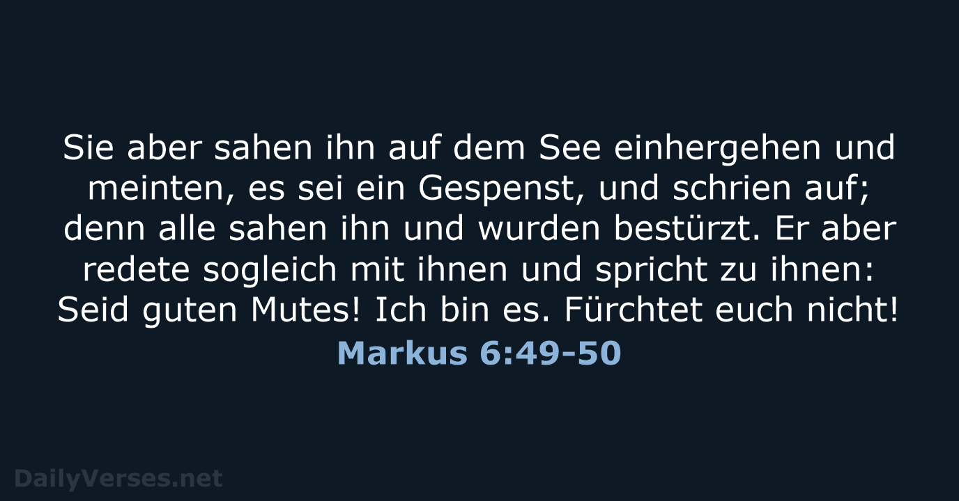 Markus 6:49-50 - ELB
