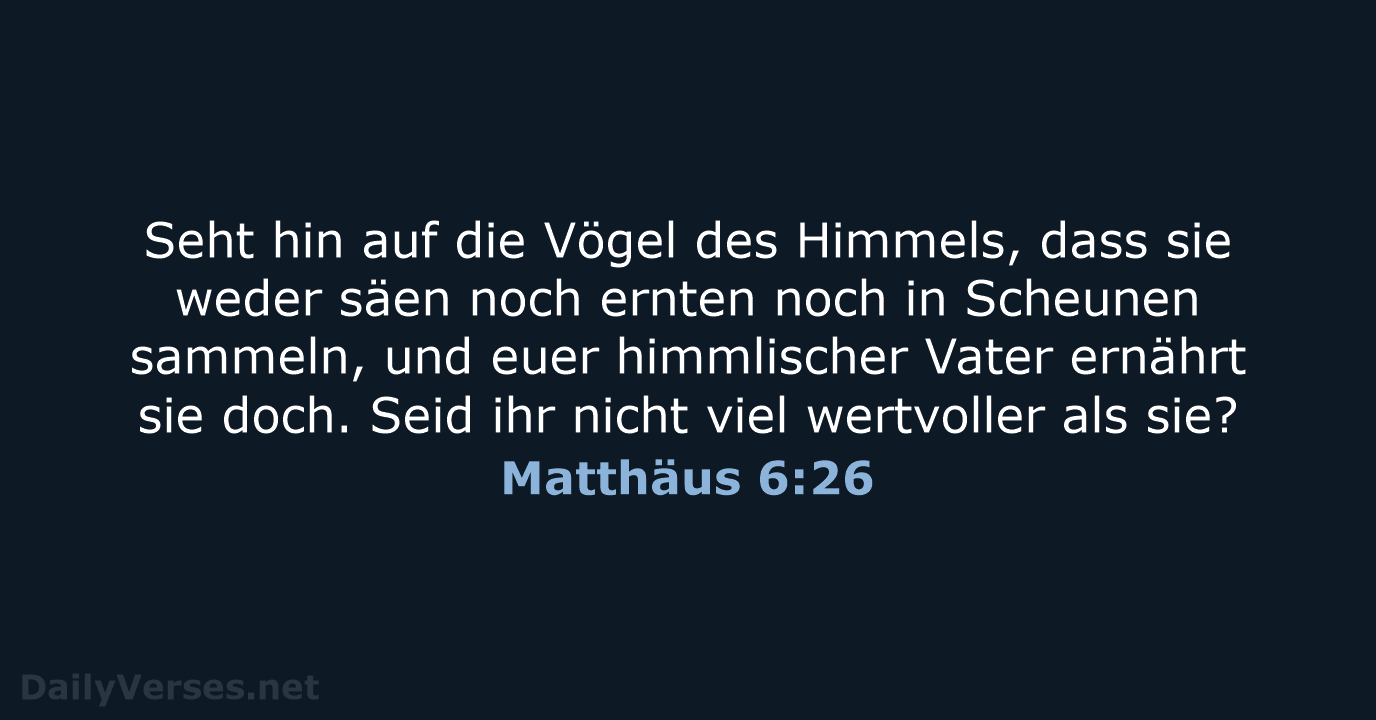 Matthäus 6:26 - ELB