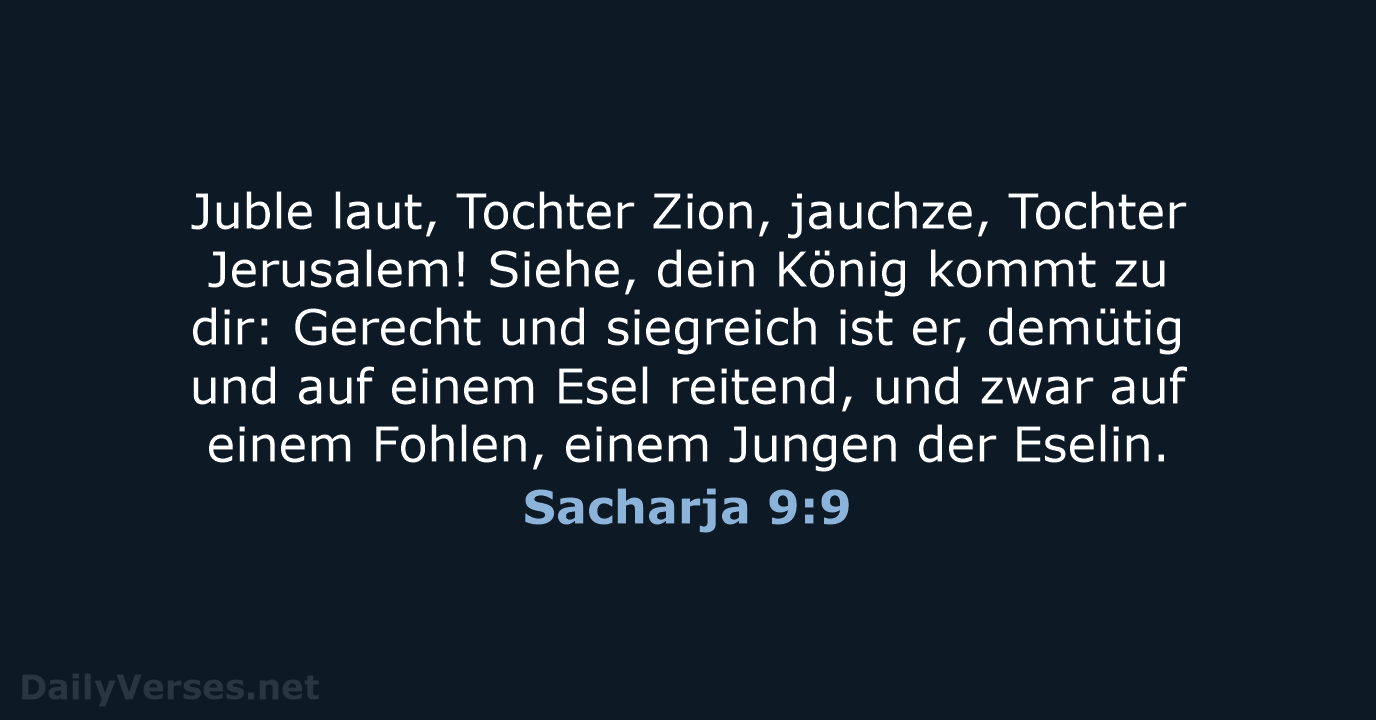 Sacharja 9:9 - ELB
