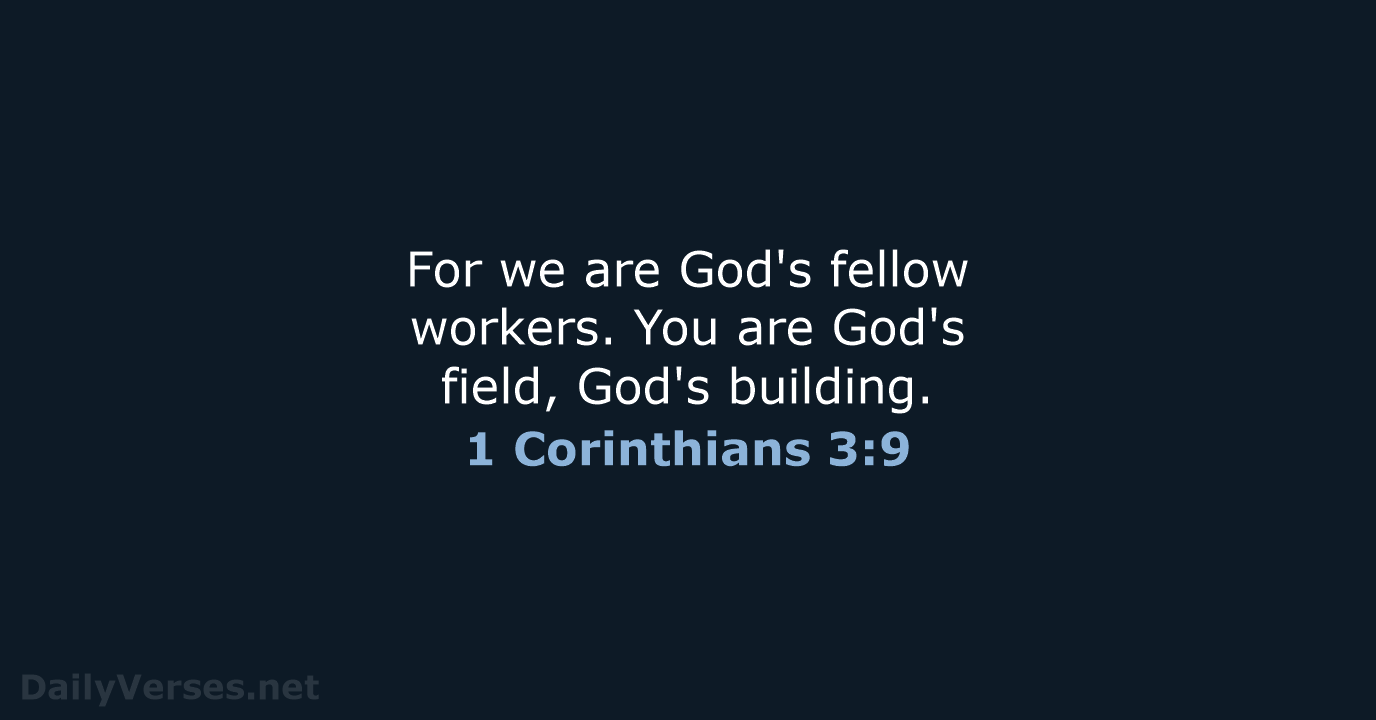 For we are God's fellow workers. You are God's field, God's building. 1 Corinthians 3:9