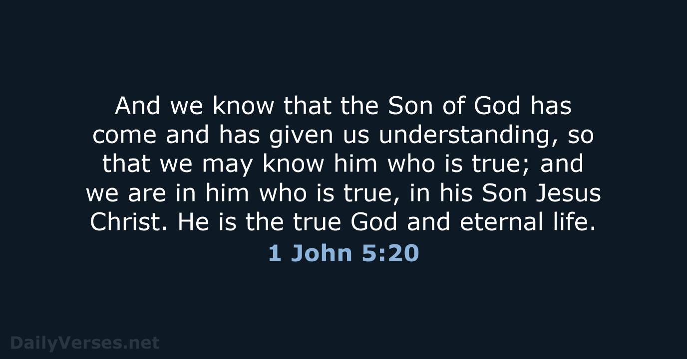 1 John 5:20 - ESV