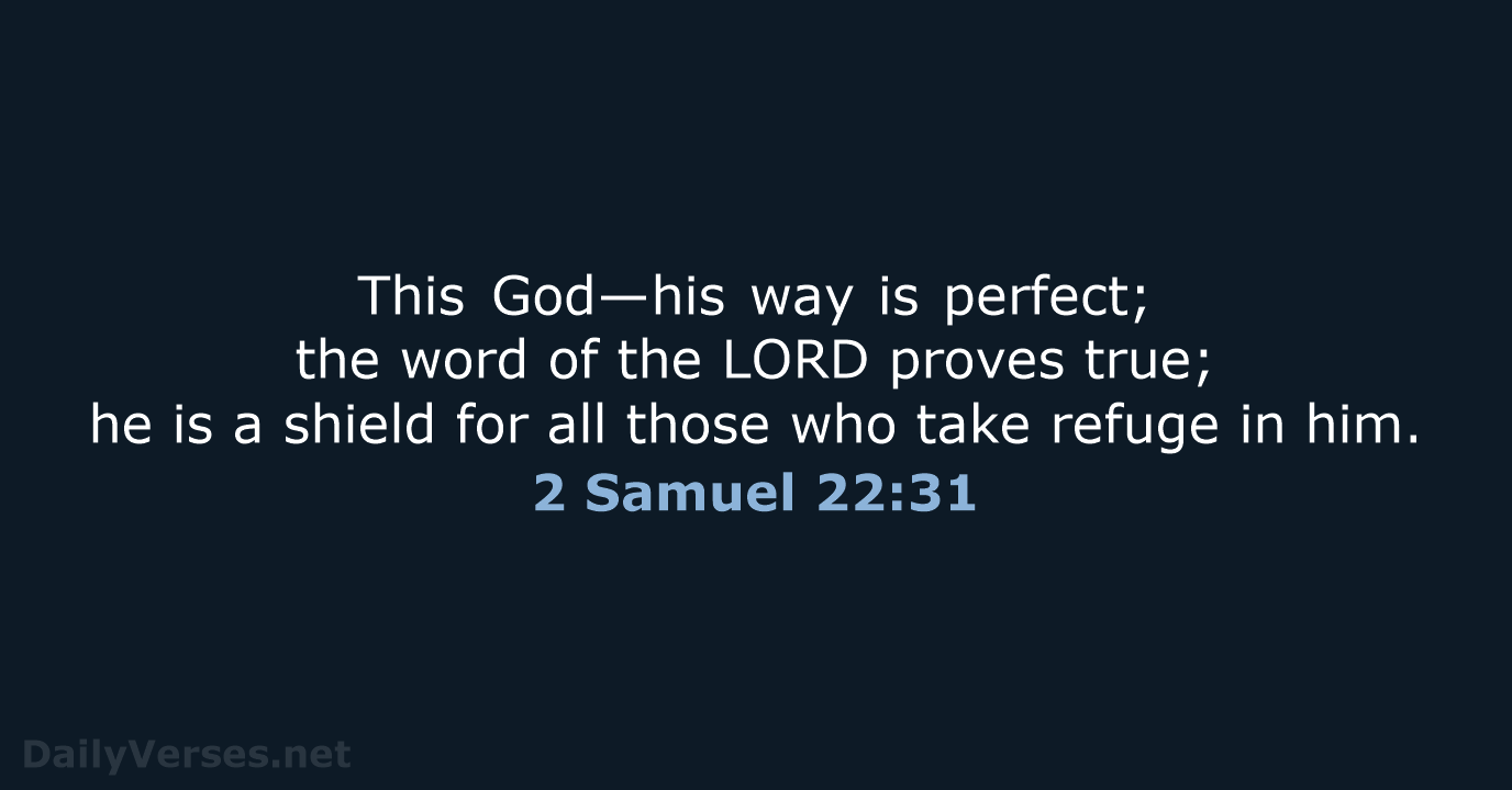 This God—his way is perfect; the word of the LORD proves true… 2 Samuel 22:31