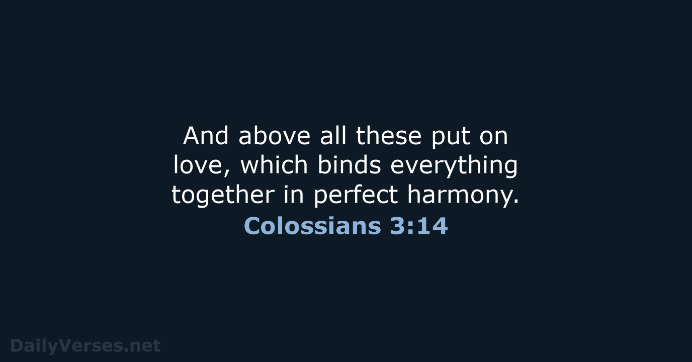 And above all these put on love, which binds everything together in perfect harmony. Colossians 3:14