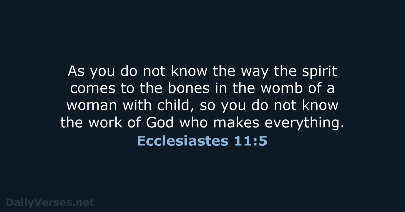 As you do not know the way the spirit comes to the… Ecclesiastes 11:5