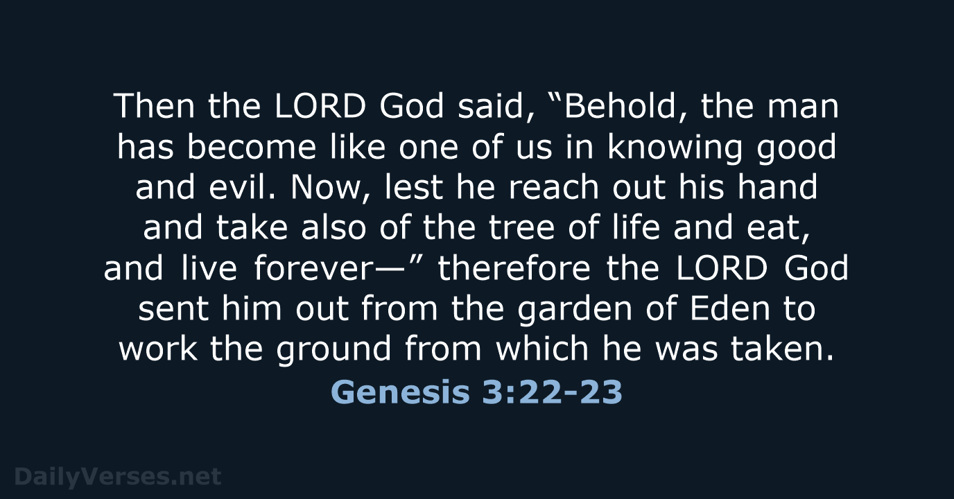 Then the LORD God said, “Behold, the man has become like one… Genesis 3:22-23