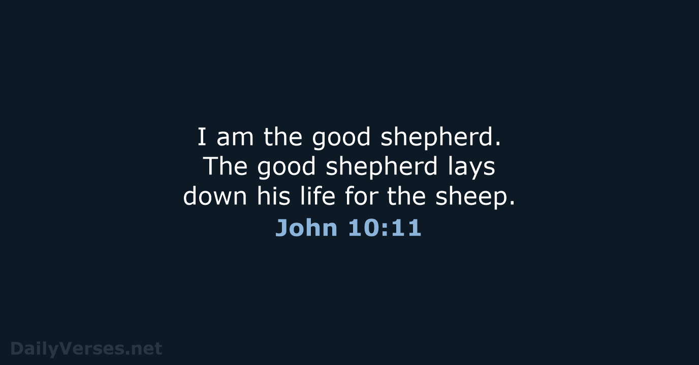 I am the good shepherd. The good shepherd lays down his life… John 10:11