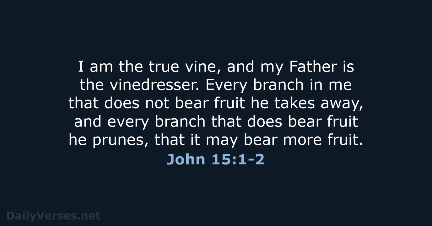 I am the true vine, and my Father is the vinedresser. Every… John 15:1-2