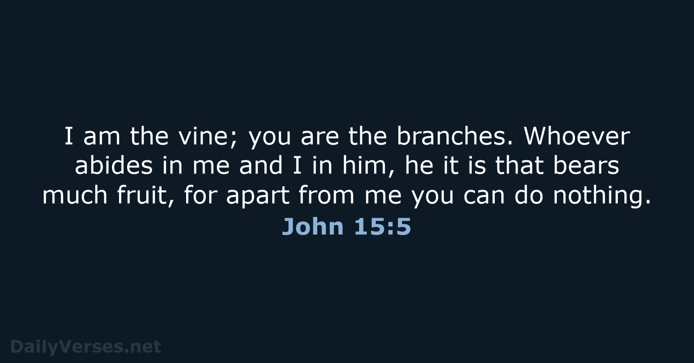 John 15:5 - ESV