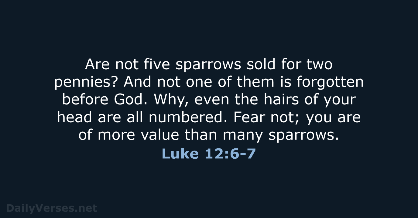 Luke 12:6-7 - ESV