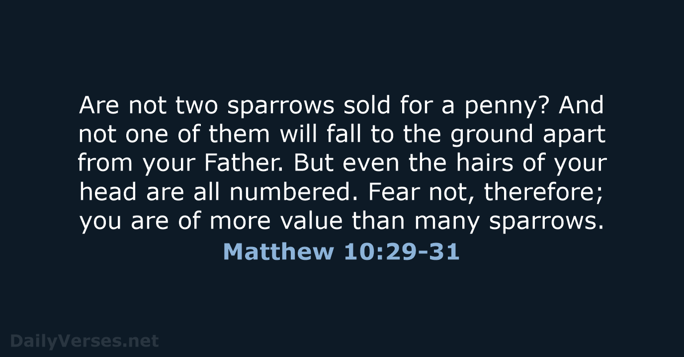 Matthew 10:29-31 - ESV