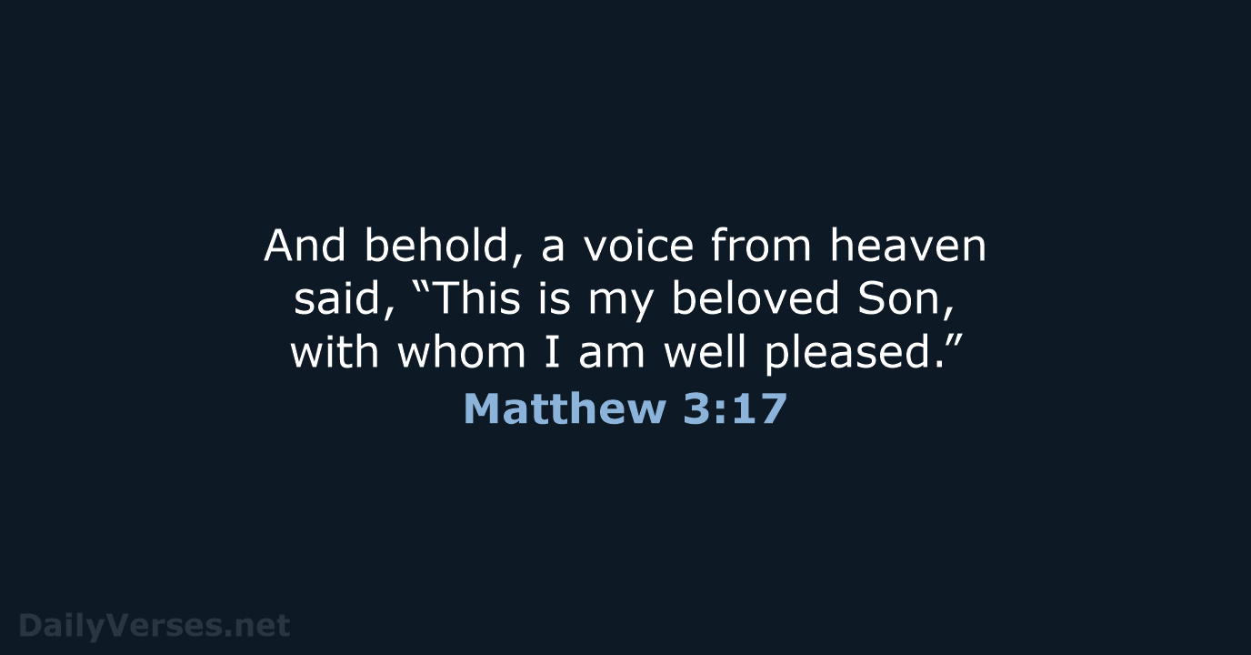 Matthew 3:17 - ESV