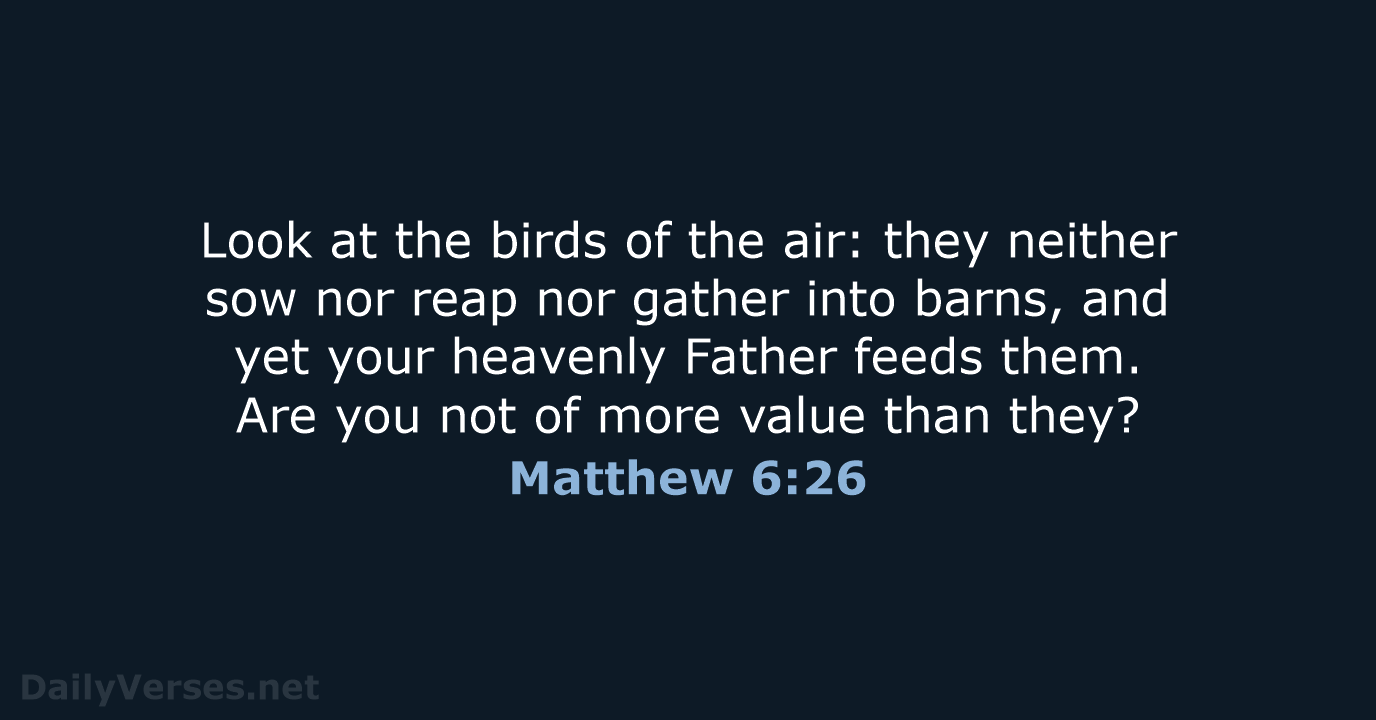 Matthew 6:26 - ESV
