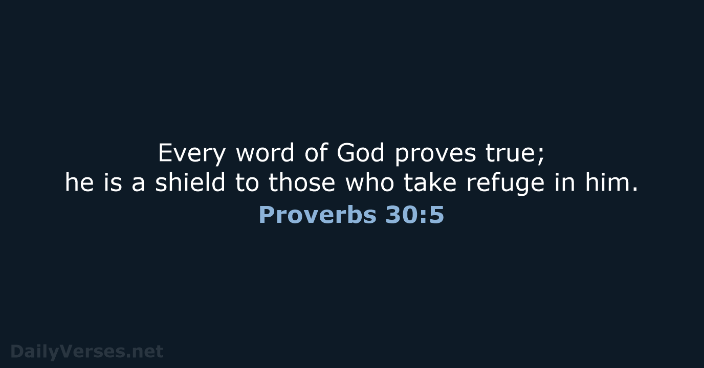 Every word of God proves true; he is a shield to those… Proverbs 30:5