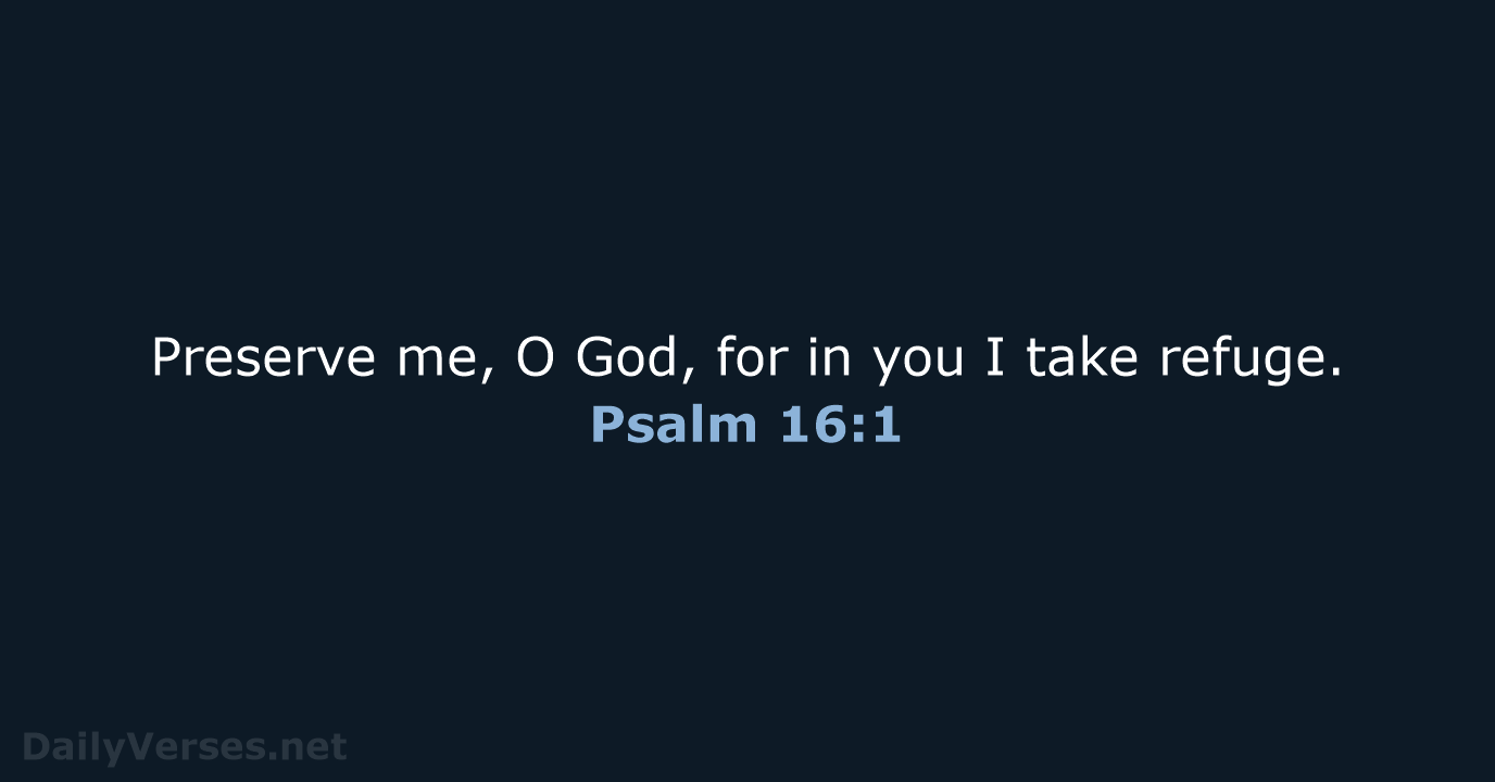 Preserve me, O God, for in you I take refuge. Psalm 16:1