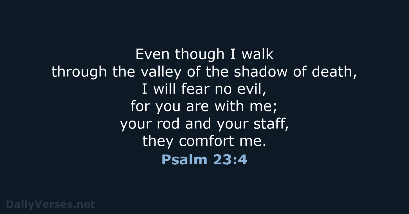 Psalm 23:4 - ESV