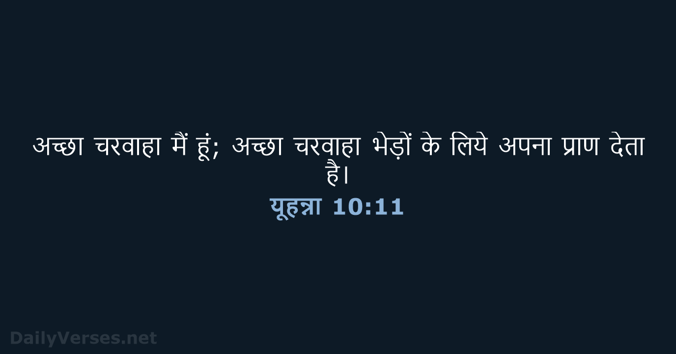 यूहन्ना 10:11 - HHBD