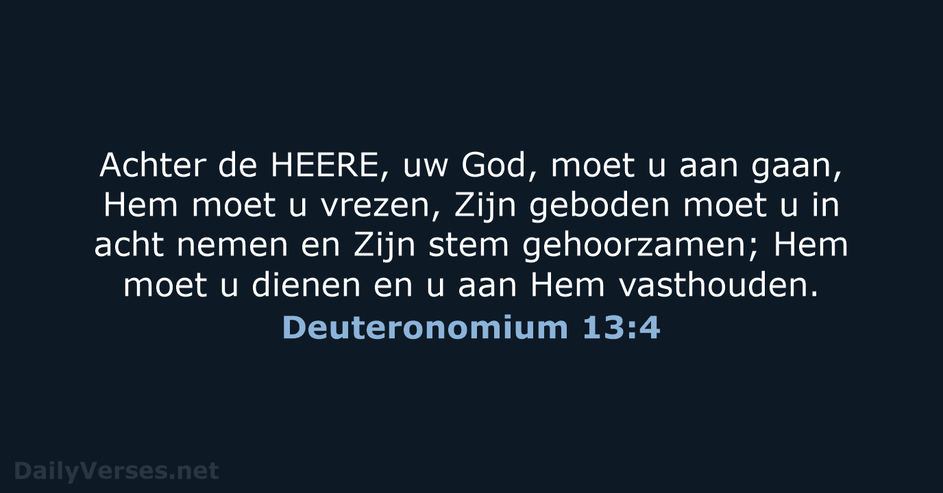 Deuteronomium 13:4 - HSV