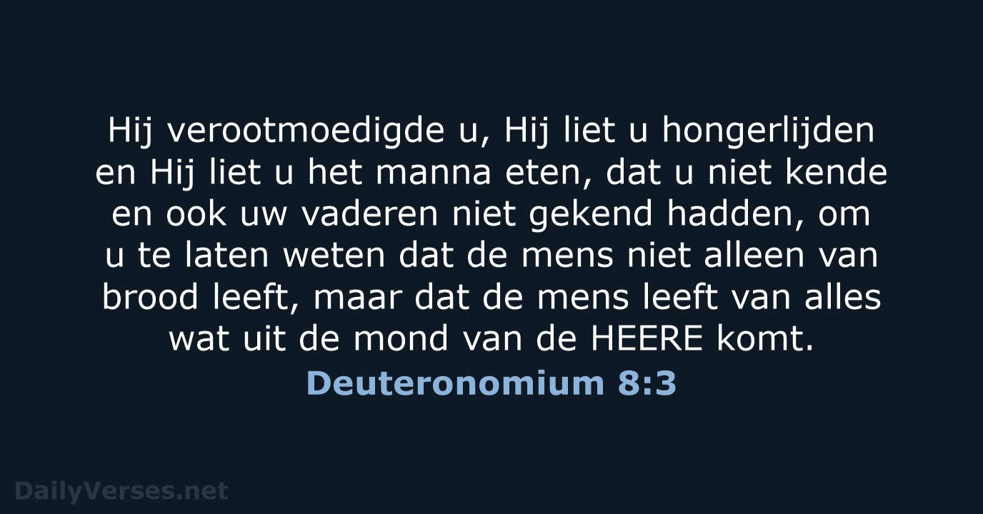 Deuteronomium 8:3 - HSV