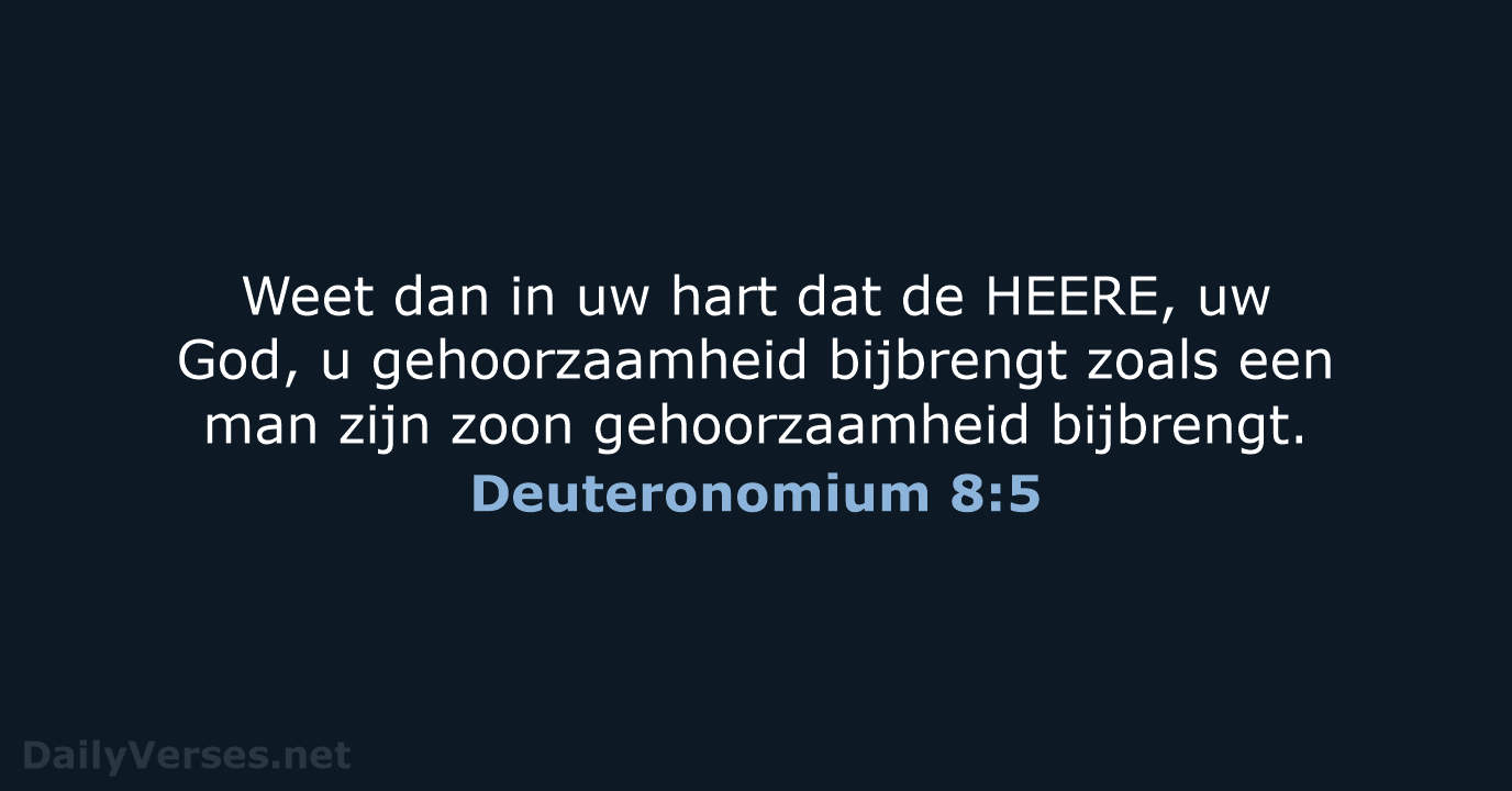 Deuteronomium 8:5 - HSV