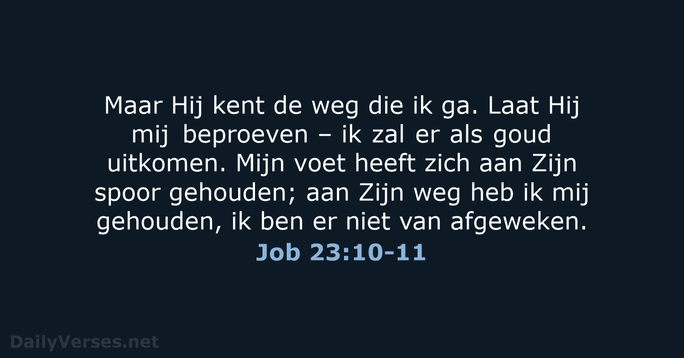 Job 23:10-11 - HSV