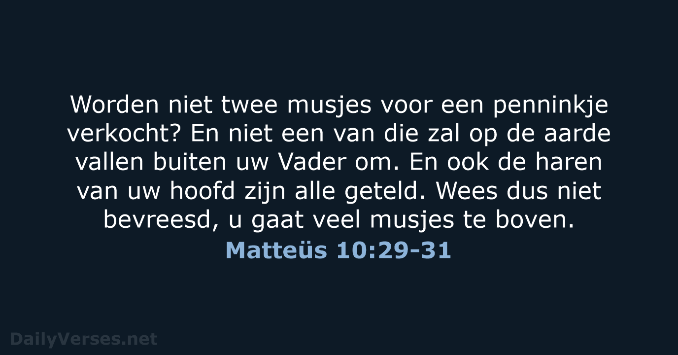 Matteüs 10:29-31 - HSV