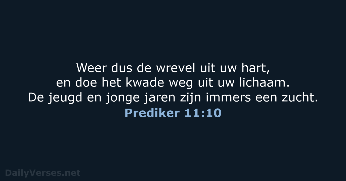 Prediker 11:10 - HSV