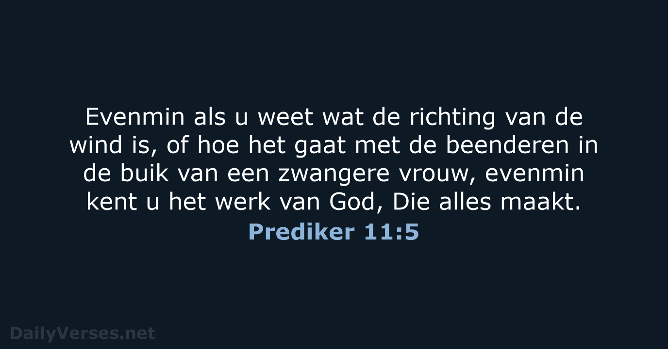 Prediker 11:5 - HSV